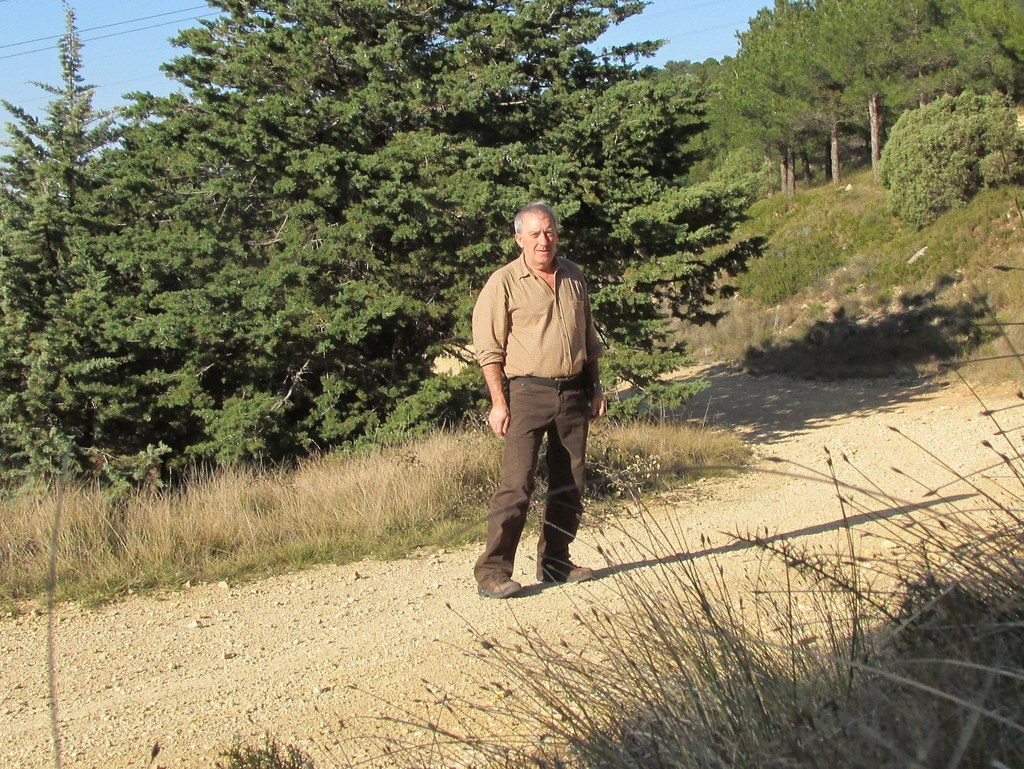 Les collines de Septêmes - La Vigie - jeudi 6 mars 2014 WWAjZG