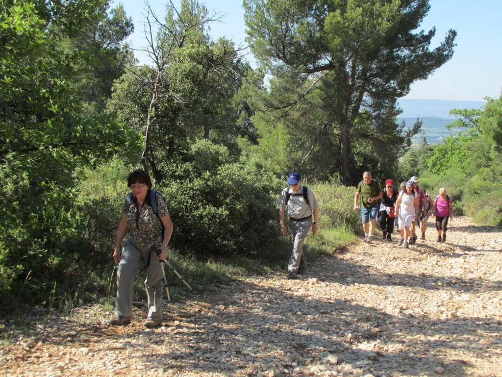 Cucuron - Jeudi matin 18 juin 2015 XuIS2R