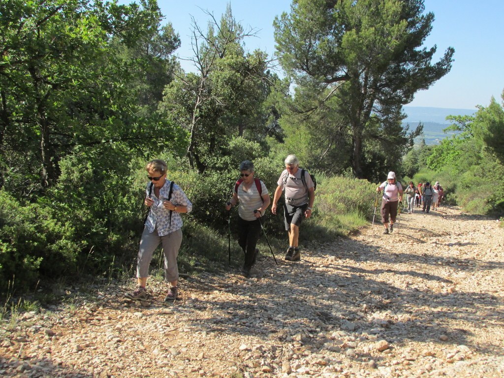 Cucuron - Jeudi matin 18 juin 2015 CtKKbu