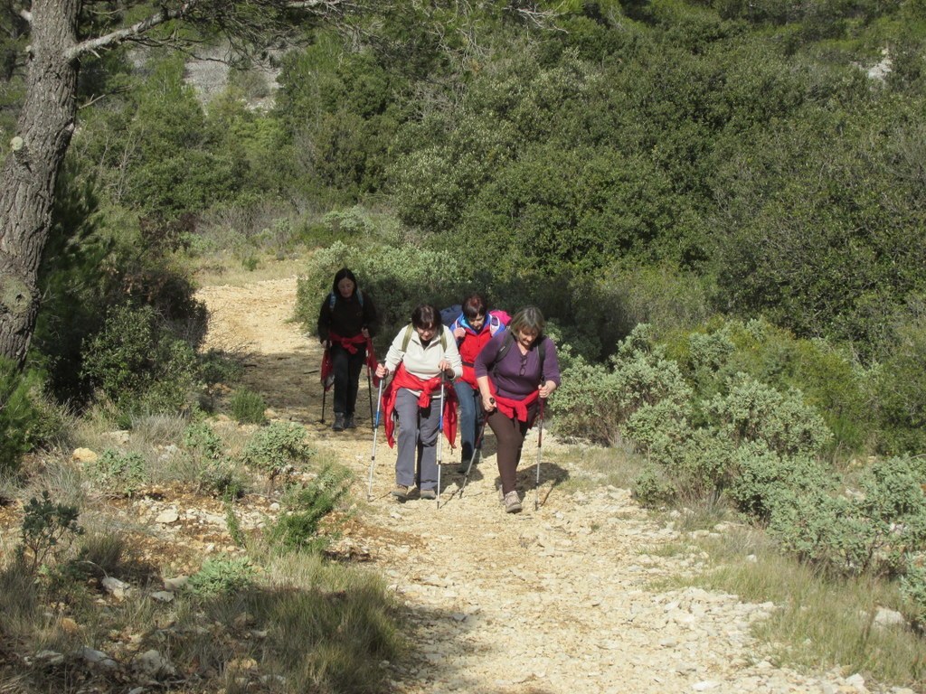 Cuges les Pins- Col de l'Ange - Font Blanche - Samedi 28 février 2015 YK9q84