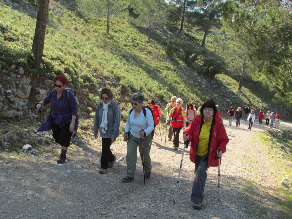 Les collines de Septêmes - La Vigie - jeudi 6 mars 2014 4HtfHu