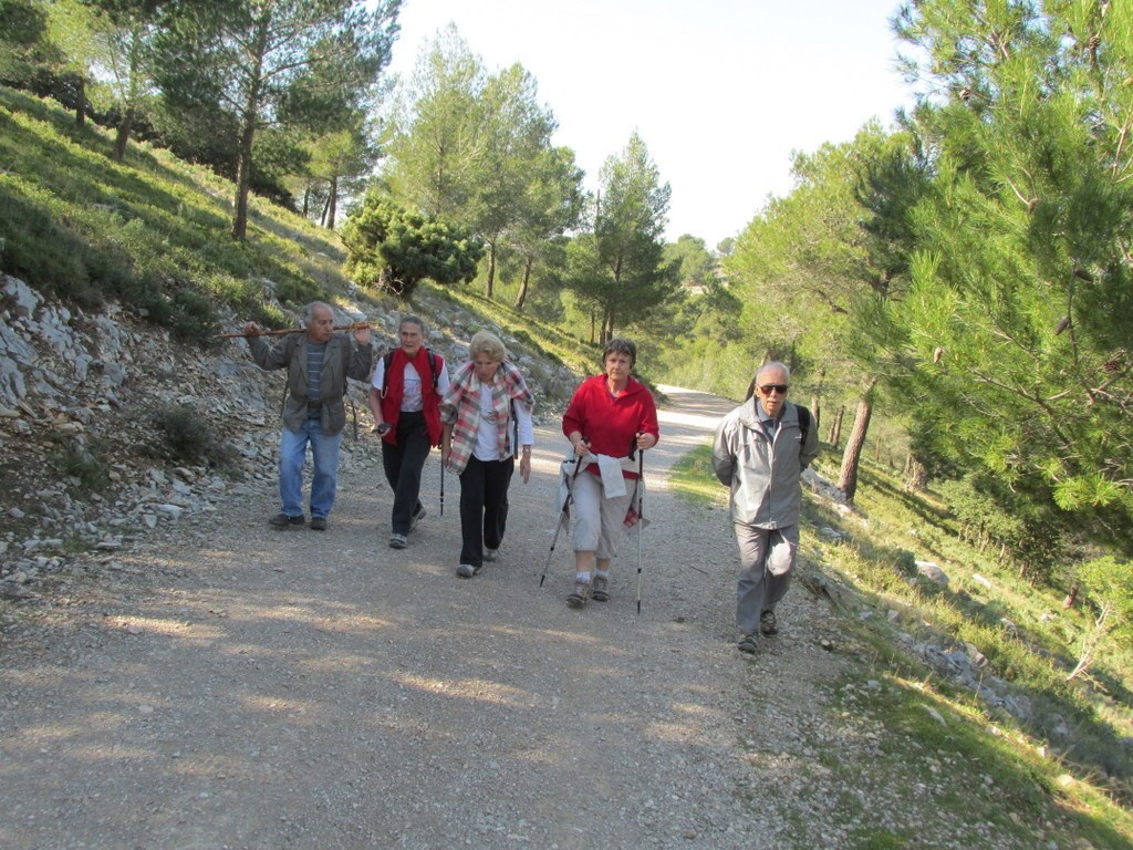 Les collines de Septêmes - La Vigie - jeudi 6 mars 2014 A8IeCv