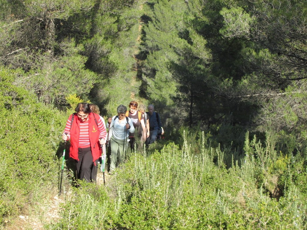 Les collines de Septêmes - La Vigie - jeudi 6 mars 2014 Kqkx2X