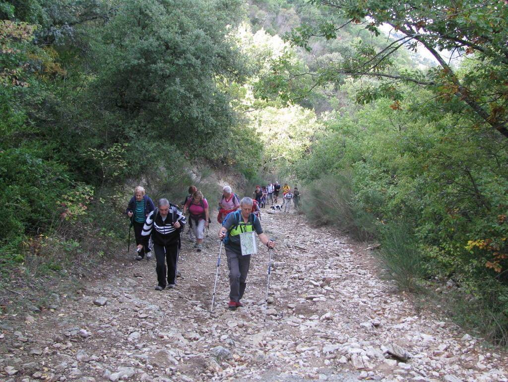 BUOUX- SIVERGUES Samedi 26 octobre 2013 SRxQkq