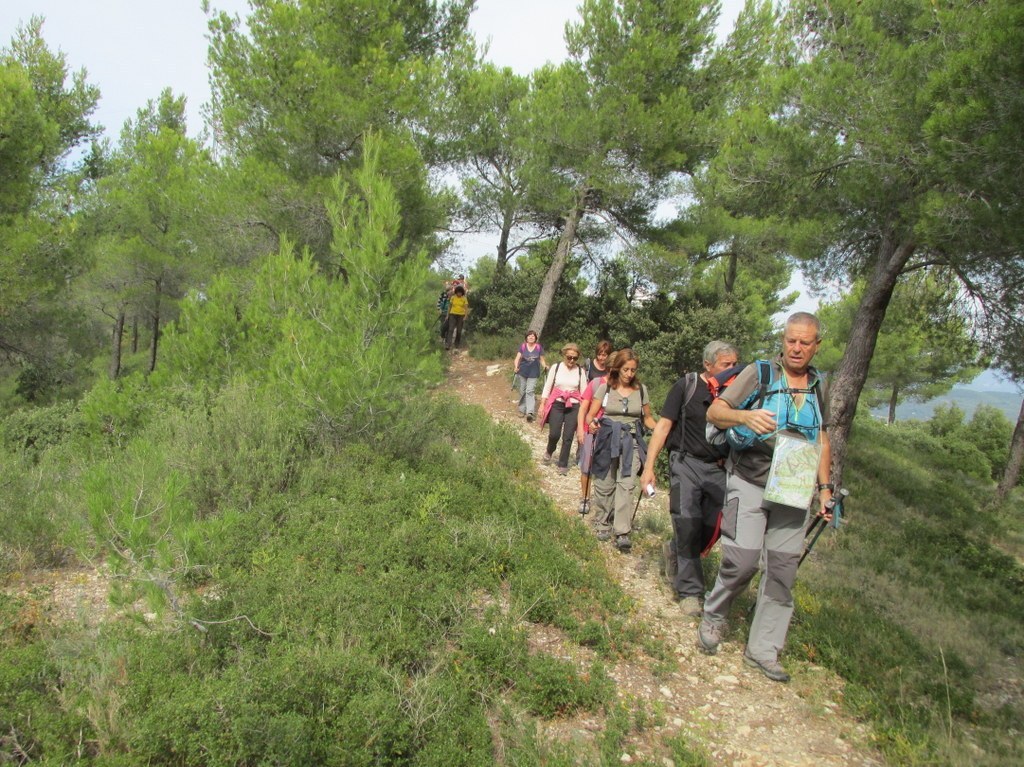 La roque d'Antheron - Jeudi 1er octobre 2015 UyfGHR