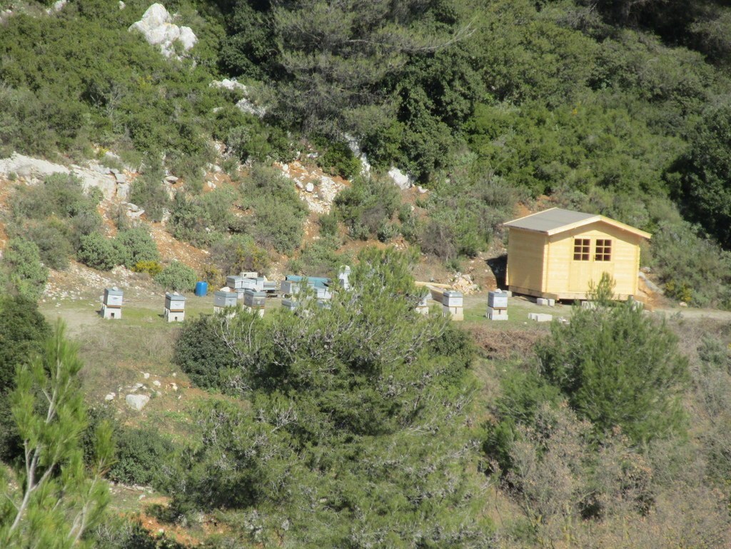 Les collines de Septêmes - La Vigie - jeudi 6 mars 2014 Let7H0