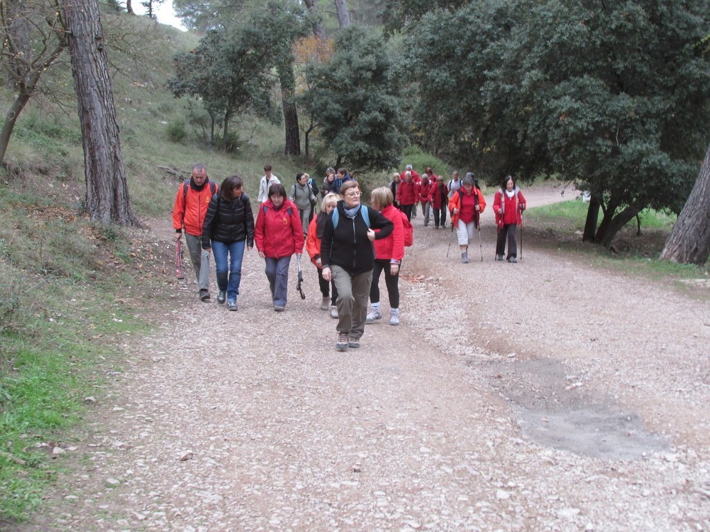 Septêmes les Vallons - Vallon de Fréguières -Jeudi 03 Décembre 2015 RT8pQt