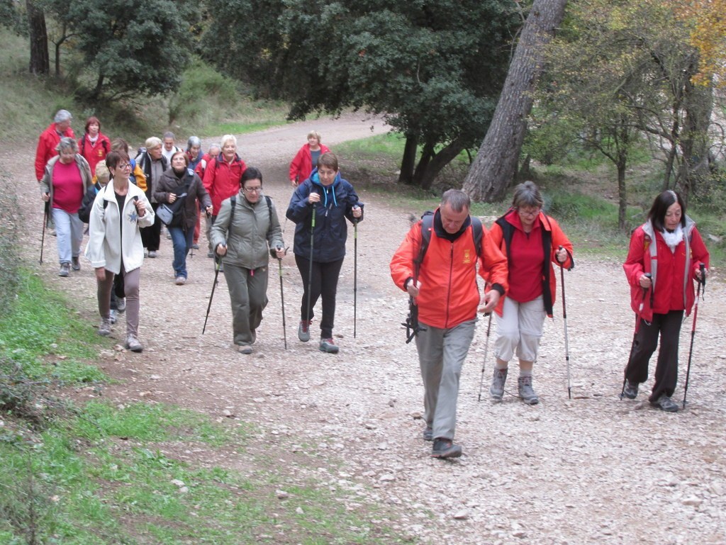 Septêmes les Vallons - Vallon de Fréguières -Jeudi 03 Décembre 2015 ORc9WG