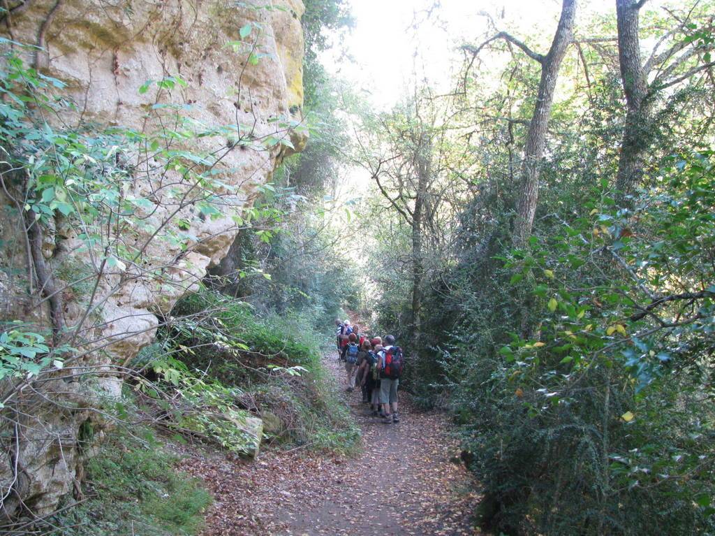 BUOUX- SIVERGUES Samedi 26 octobre 2013 PASOeW