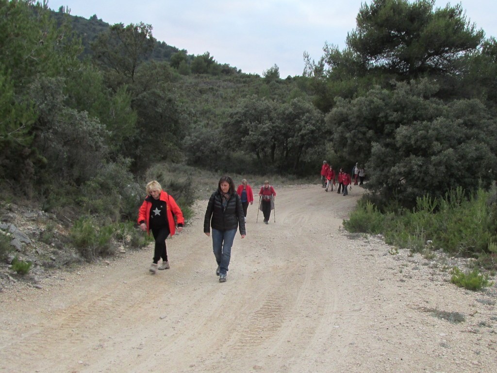 Septêmes les Vallons - Vallon de Fréguières -Jeudi 03 Décembre 2015 SdSqav