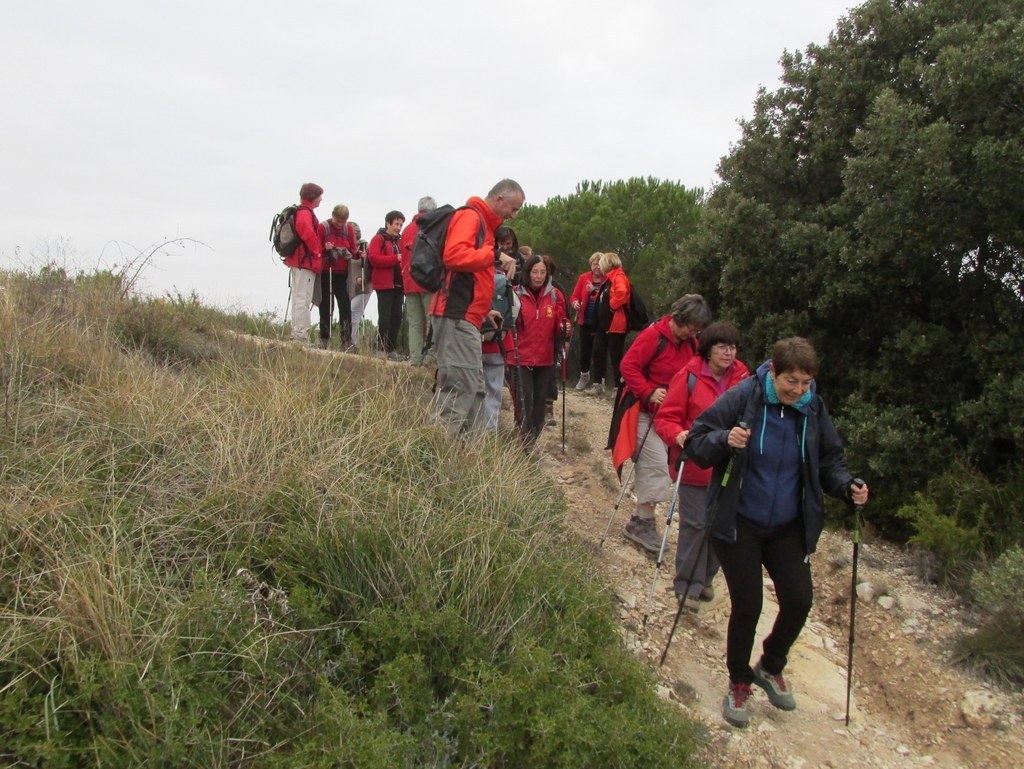 Septêmes les Vallons - Vallon de Fréguières -Jeudi 03 Décembre 2015 RrFbHs