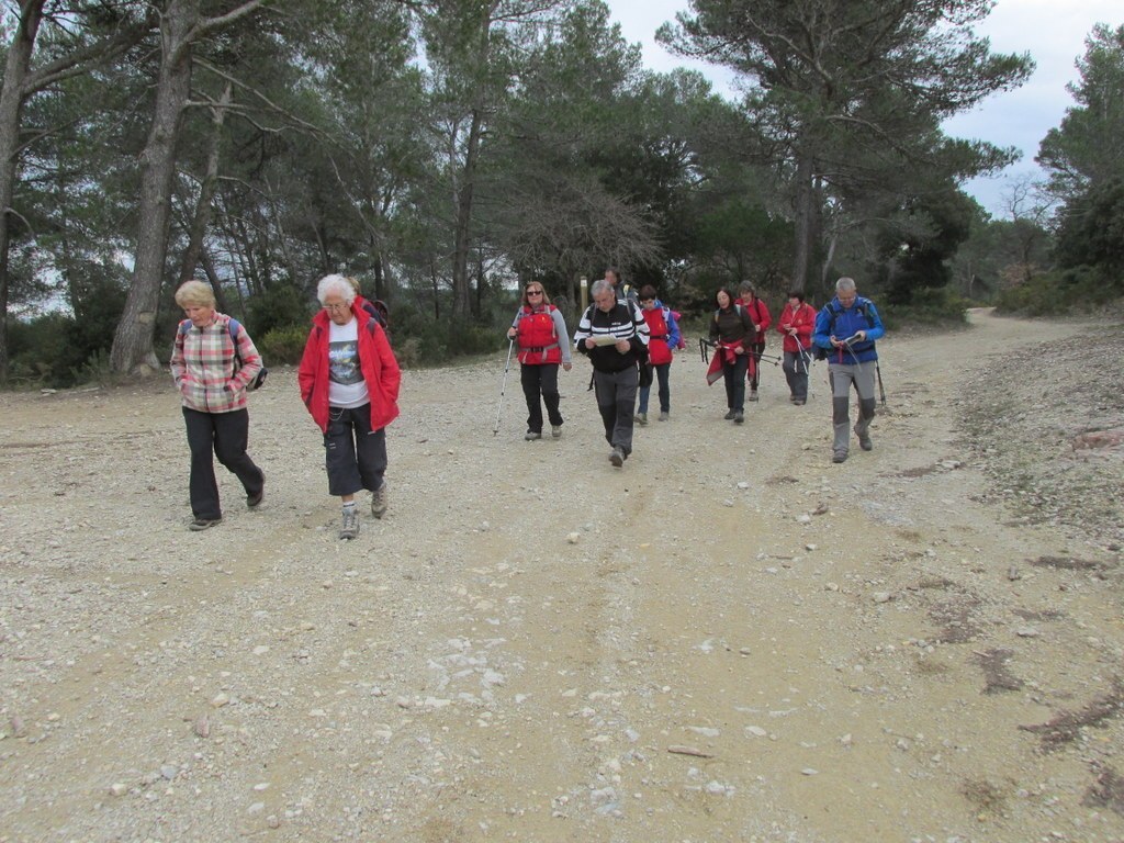 Cuges les Pins- Col de l'Ange - Font Blanche - Samedi 28 février 2015 3KNm64