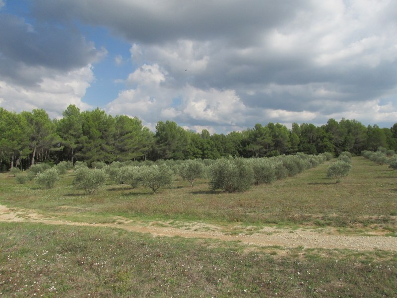 Peynier - Les Michels - Jeudi 02 octobre 2014 GzrIAZ