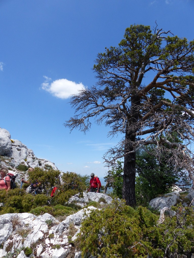 Ste Baume-Grotte aux Oeufs-Paradis-Glacières-Sentier Merveilleux-Jeudi 28 mai 2015 W3cjua