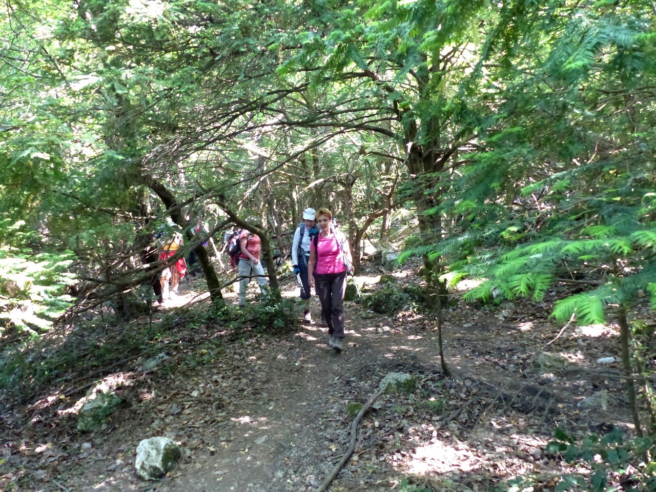 Ste Baume-Grotte aux Oeufs-Paradis-Glacières-Sentier Merveilleux-Jeudi 28 mai 2015 OPKrUE