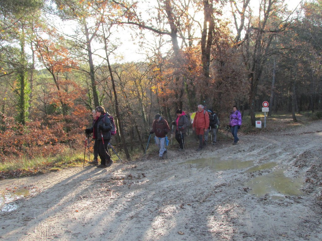 La Roque d'Anthéron - Jeudi 12 décembre 2019 - Groupe J.M et Gérard  0ITIIM