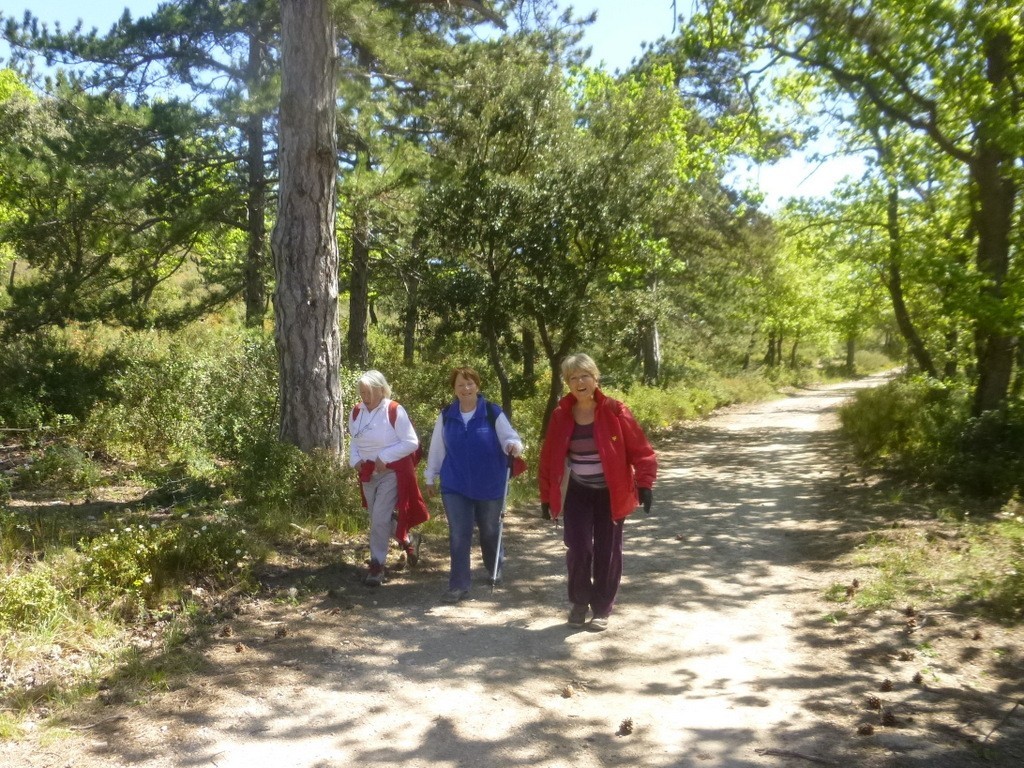         Cheval blanc - Gorges du régalon - Lundi 25 avril 2016 11AuBp