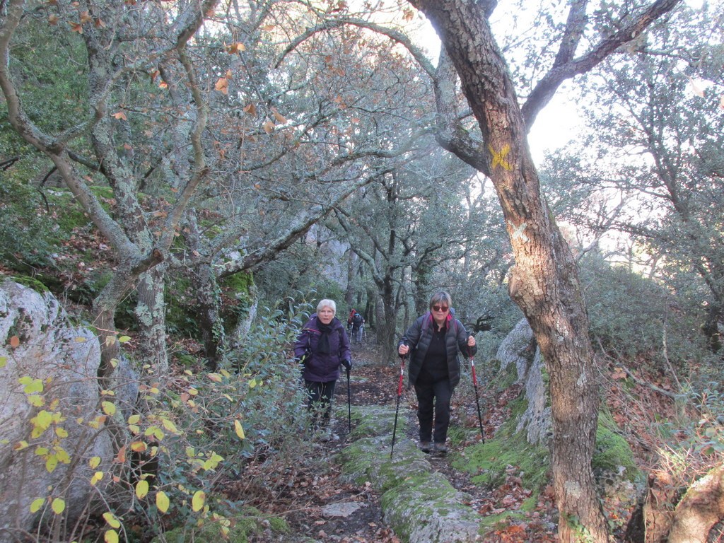 La Roque d'Anthéron - Jeudi 12 décembre 2019 - Groupe J.M et Gérard  4qIlBb