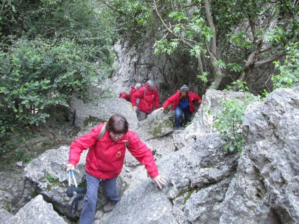         Cheval blanc - Gorges du régalon - Lundi 25 avril 2016 6fZMfs