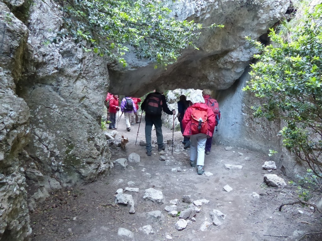         Cheval blanc - Gorges du régalon - Lundi 25 avril 2016 77dqjD