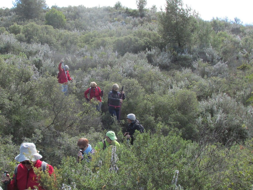 Ensuès la Redonne - Jeudi 4 avril 2019 8n39Cy