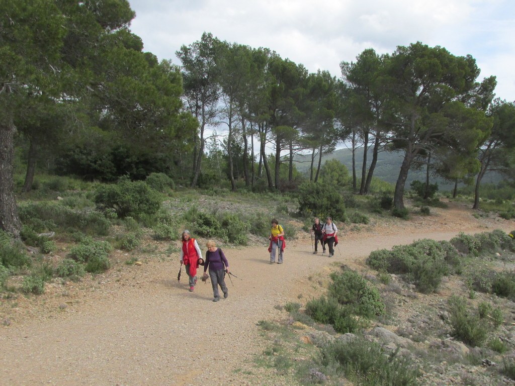 Le Tholonet - Jeudi 25 avril 2019 A6gbSe