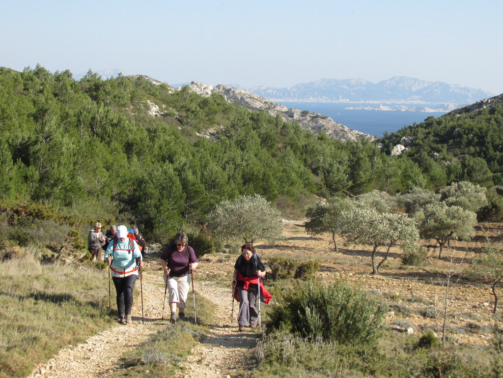      Le Rove - Fort de Figuerolles - jeudi 24 mars 2016 BSHPt0