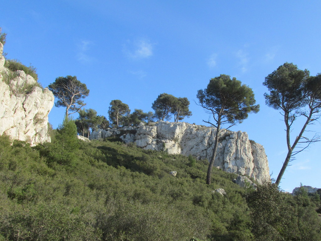      Le Rove - Fort de Figuerolles - jeudi 24 mars 2016 Djjk1m