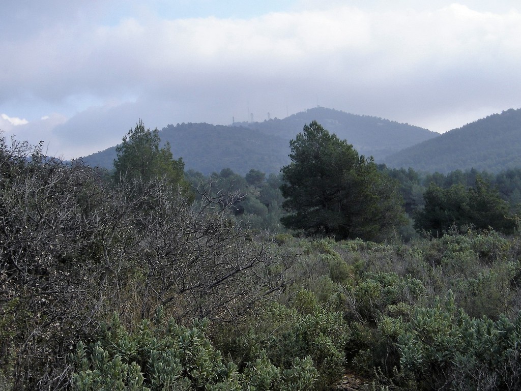 Septemes les vallons - Jeudi 17 janvier 2019 Ix6kxX