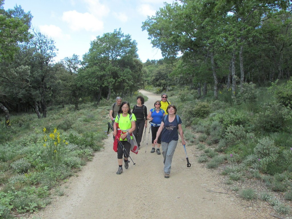                  Peypin d'Aigues " Source de Mirail" jeudi matin 02 juin 2016 Jc0Ruk