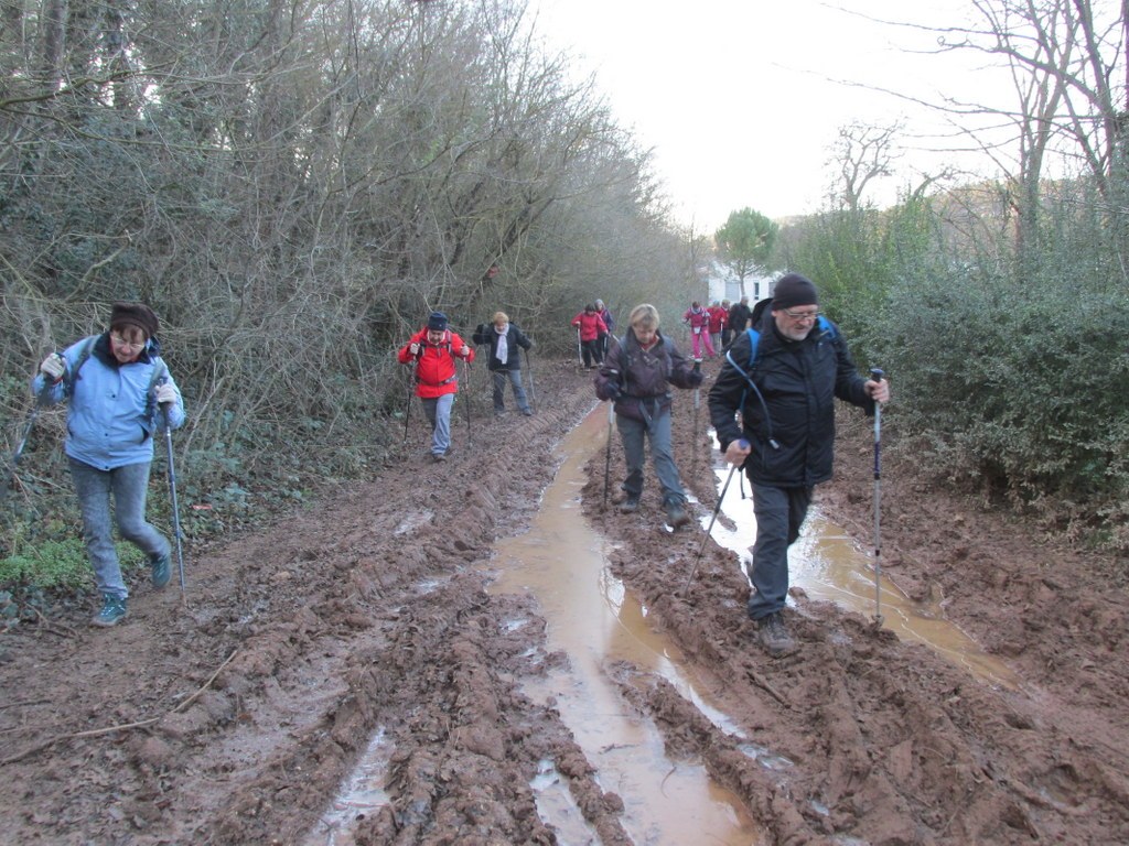 Gardanne- La Luynes - Jeudi 3 janvier 2019 LSR99c