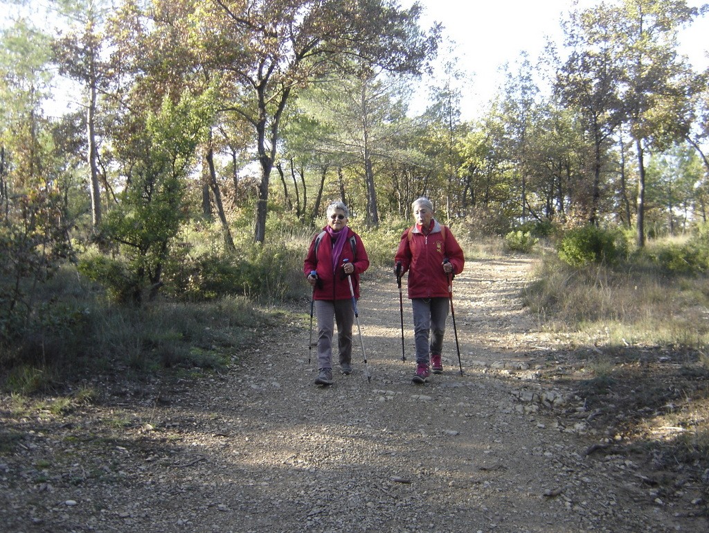 Les Michels ( Peynier) - Vendredi 8 novembre 2019 MrKoUo