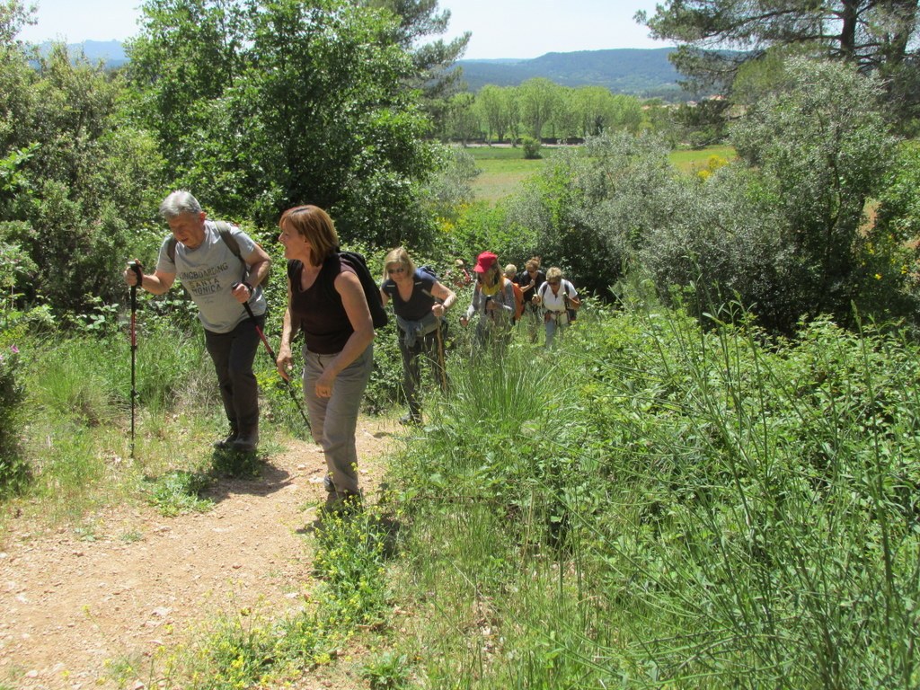 Beaurecueil - Jeudi 16 mai 2019 - Rando Colette Nv3O5C