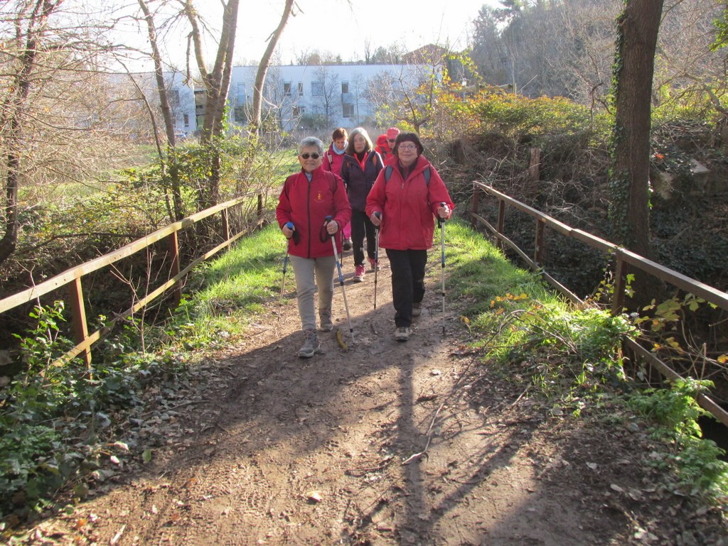 Gardanne- La Luynes - Jeudi 3 janvier 2019 RbJCip