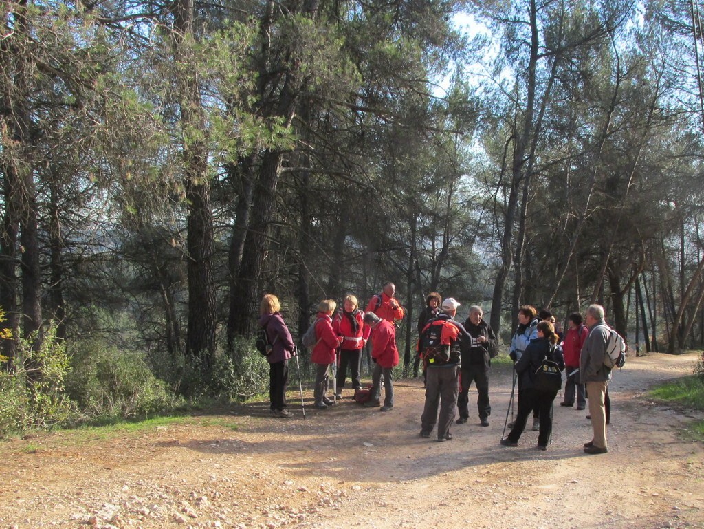 Gardanne -Jeudi 08 Décembre 2016 S9B1zE