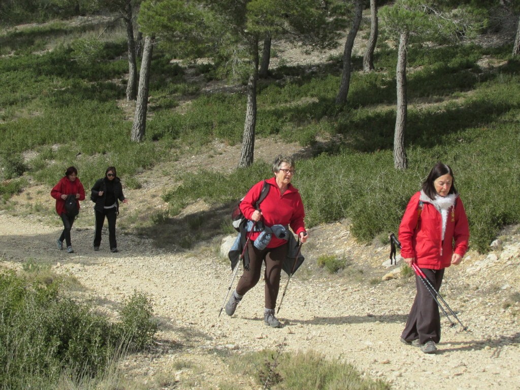 Ensuès - Calanque des eaux salées - jeudi 3 mars 2016 Wz8vWW