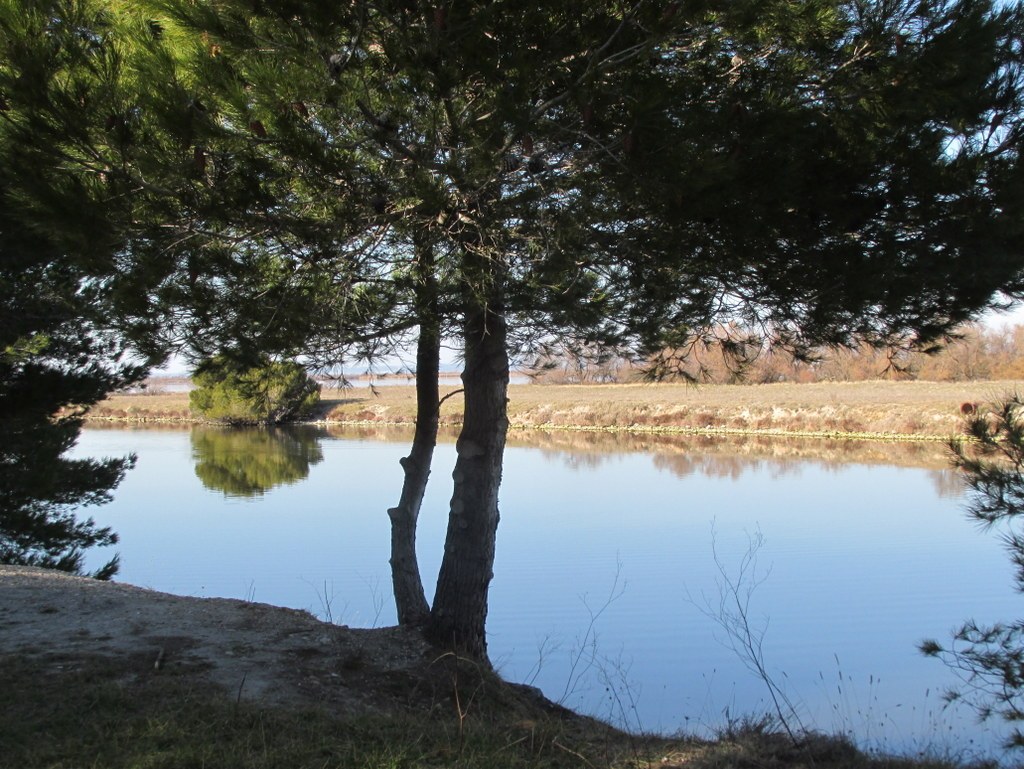 Marignane - Jeudi 14 février 2019 ZVplmr