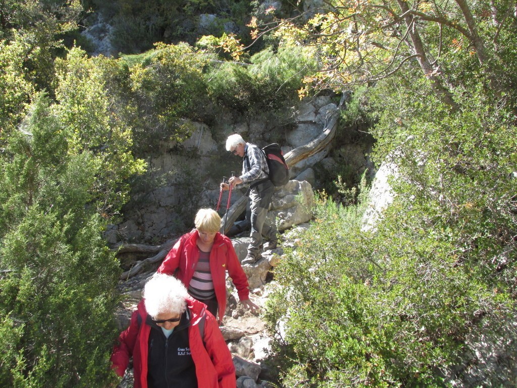         Cheval blanc - Gorges du régalon - Lundi 25 avril 2016 ZWUmYm