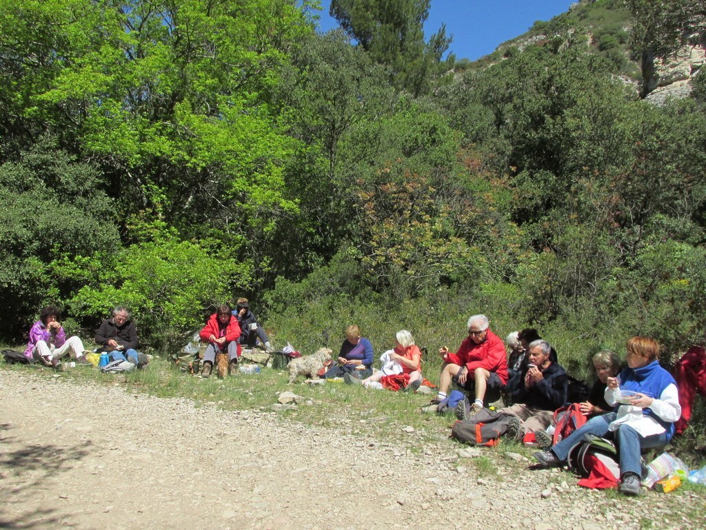         Cheval blanc - Gorges du régalon - Lundi 25 avril 2016 BermEy