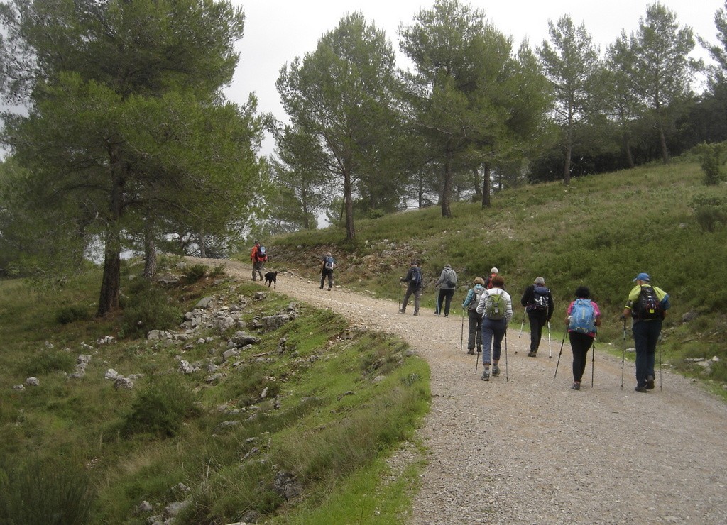 Septèmes les vallons - Jeudi 31 octobre 2019 D06Rxn