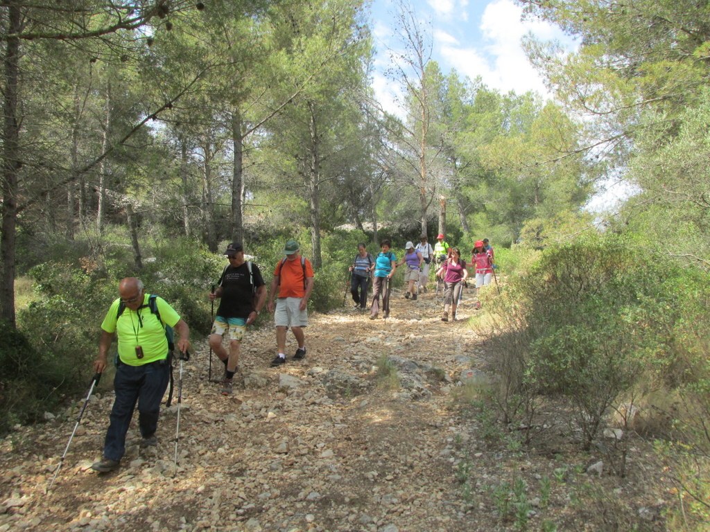 Rando Jean Marie -La Couronne - Jeudi 20 juin 2019 DlUnGw