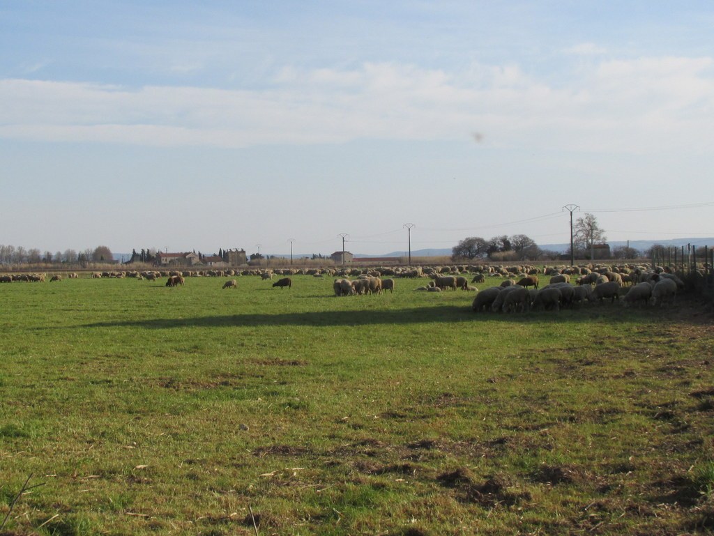 Berre l'Etang - Jeudi 28 février 2019 HBsqdx