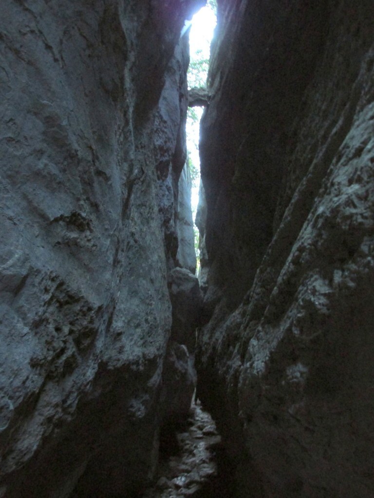         Cheval blanc - Gorges du régalon - Lundi 25 avril 2016 JaPegO