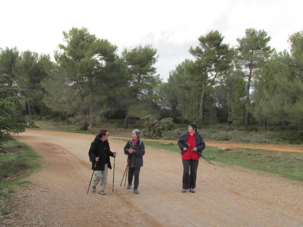 Roques Hautes - Barrage de Bimont -jeudi 10 novembre 2016 RtK3lV