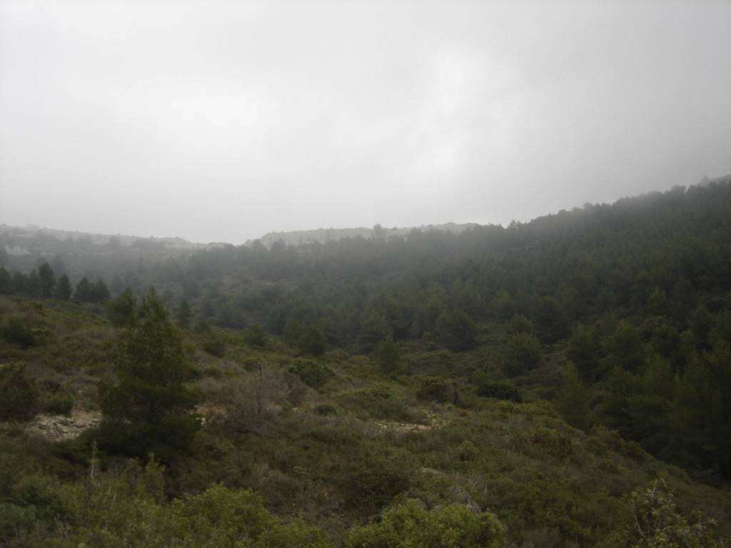 Septèmes les vallons - Jeudi 31 octobre 2019 Sk5mNN