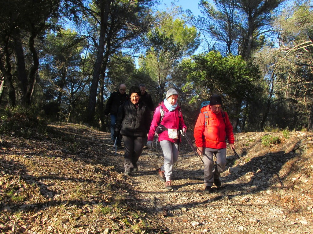 Gardanne - Jeudi 24 janvier 2019 UDQL9I