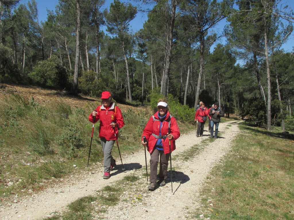 Randonnée culture Arles - Fontvieille - lundi 6 mai 2019 YFL16i