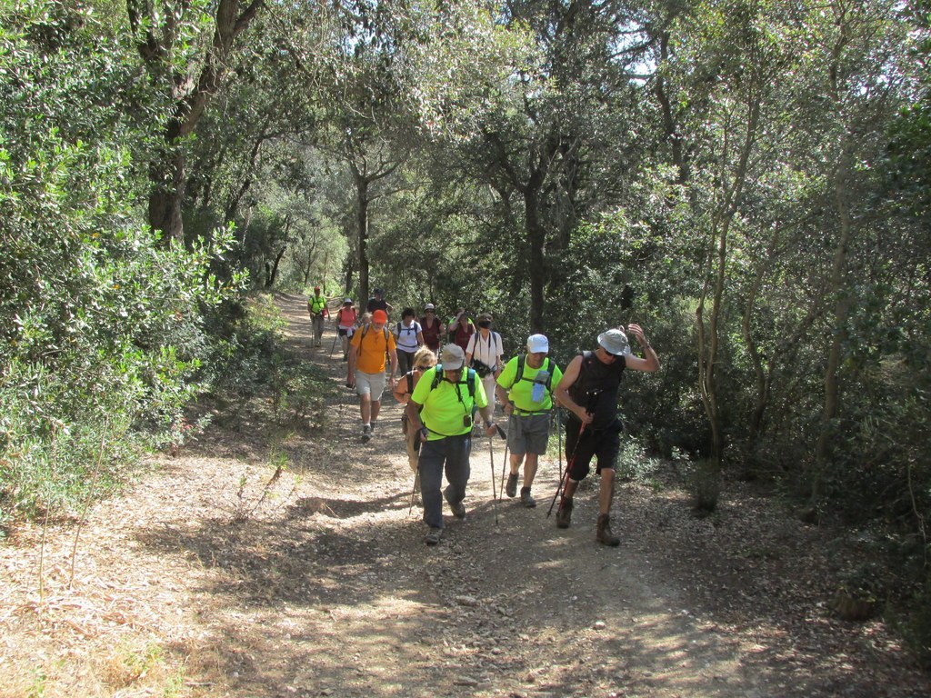 Porquerolles avec Jean Marie - jeudi 23 juin 2016 YUxr7c