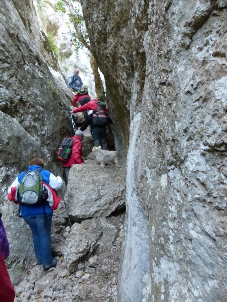         Cheval blanc - Gorges du régalon - Lundi 25 avril 2016 0YAatc