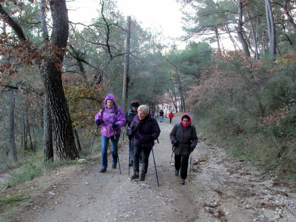 La Roque d'Anthéron - Jeudi 12 décembre 2019 - Groupe J.M et Gérard  4SGllX